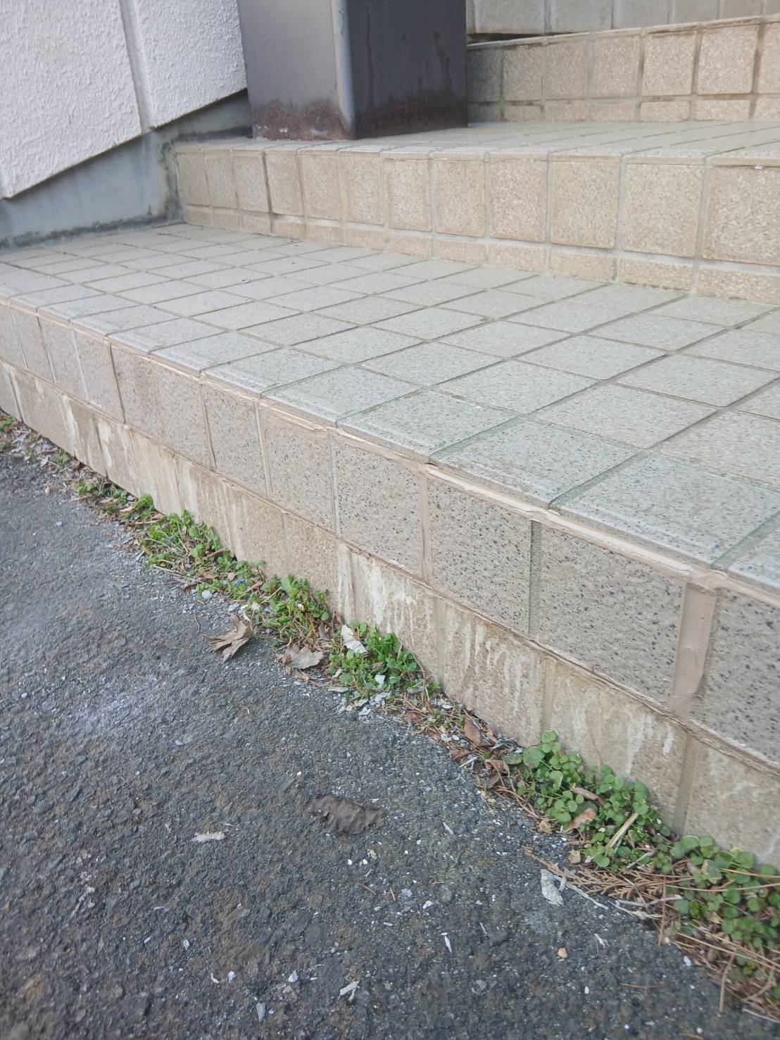 八幡平市_〇中学校_タイル補修工事_補修後